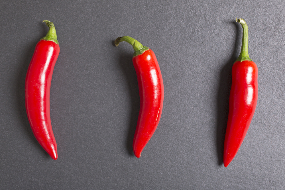 Fresh red chilli on black slate with copy space