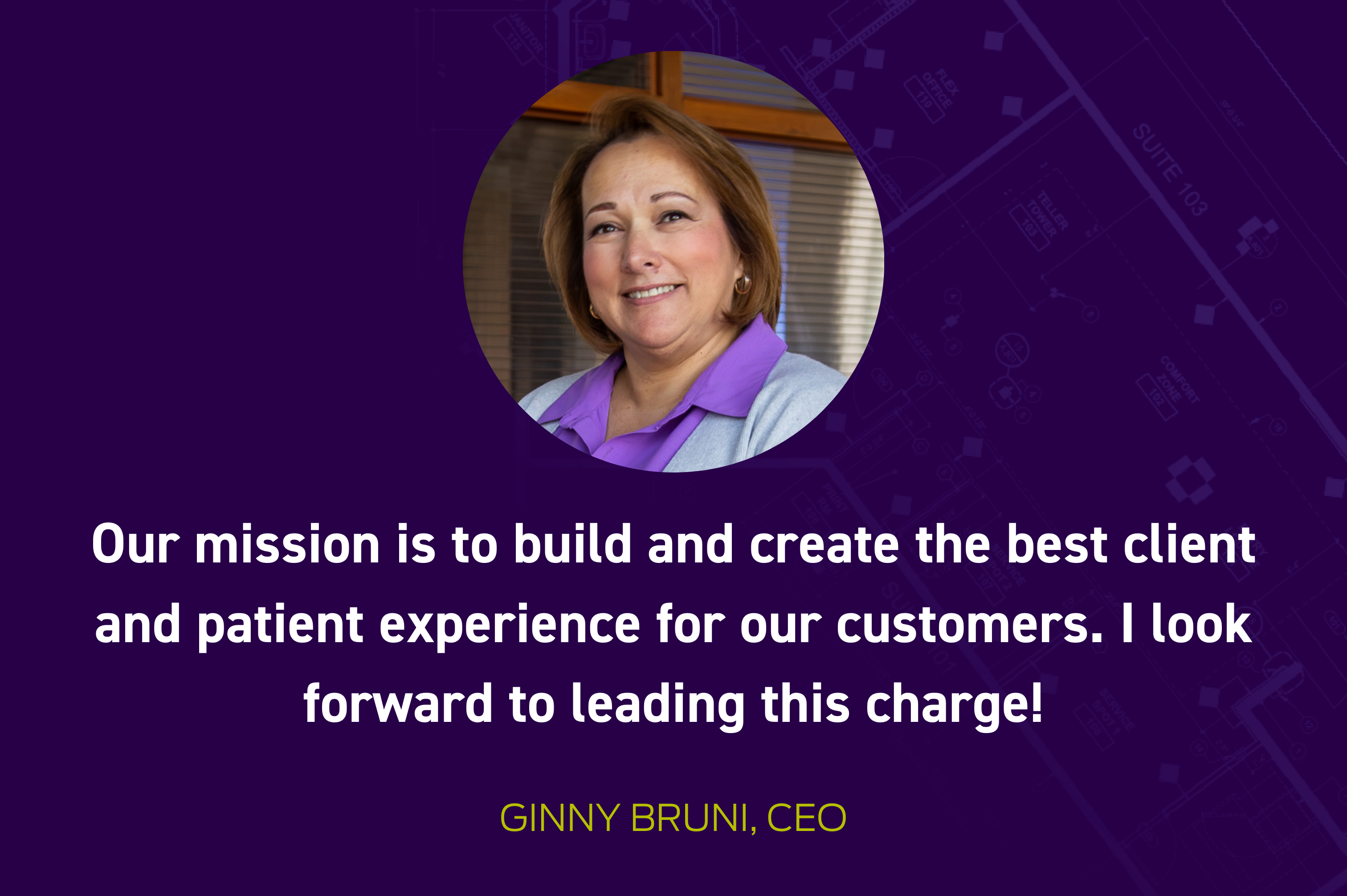 DBSI, Inc. Announces Ginny Bruni as CEO, New CFO, CTO, and VP Leadership Team